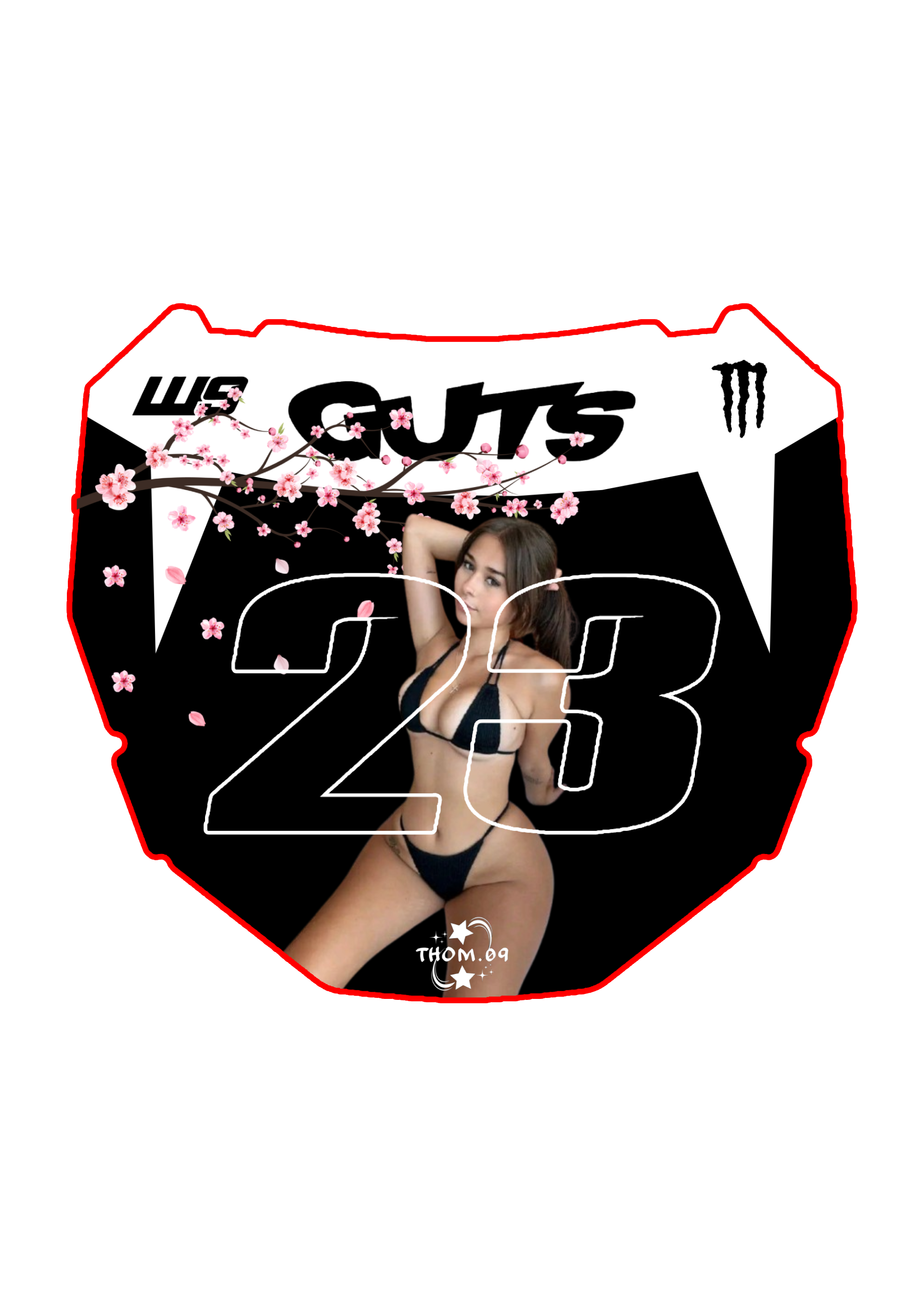 Front Plate Decal Number 23 Sophie Rain Odi Style